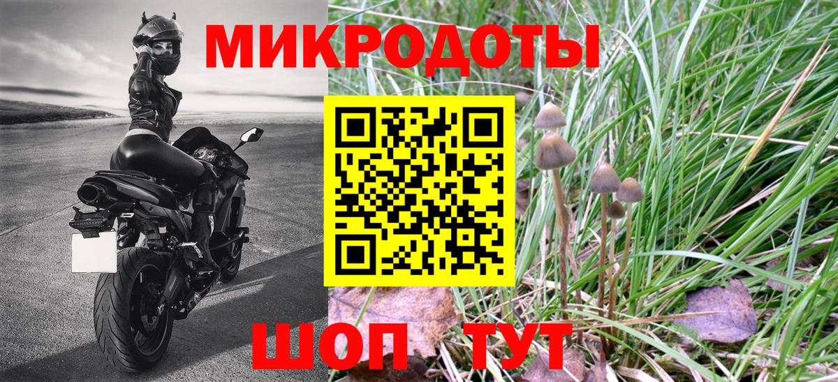 Галлюциногенные грибы ЛСД  Галлюциногенные грибы Psilocybine cubensis  купить наркоту  Гусь-Хрустальный  Вход с VPN 